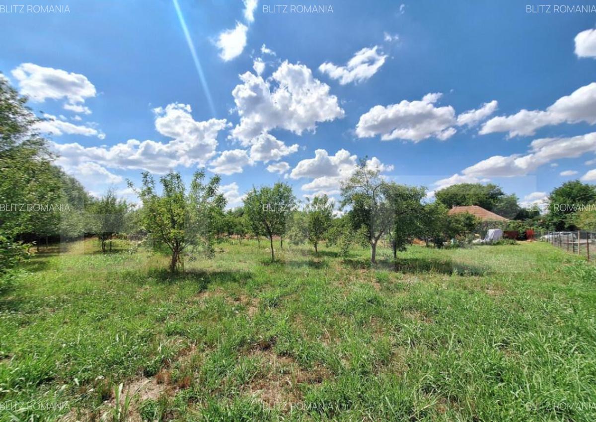 Casa cu teren intravilan, 4600 mp, investiitii/dezvoltare! - 1