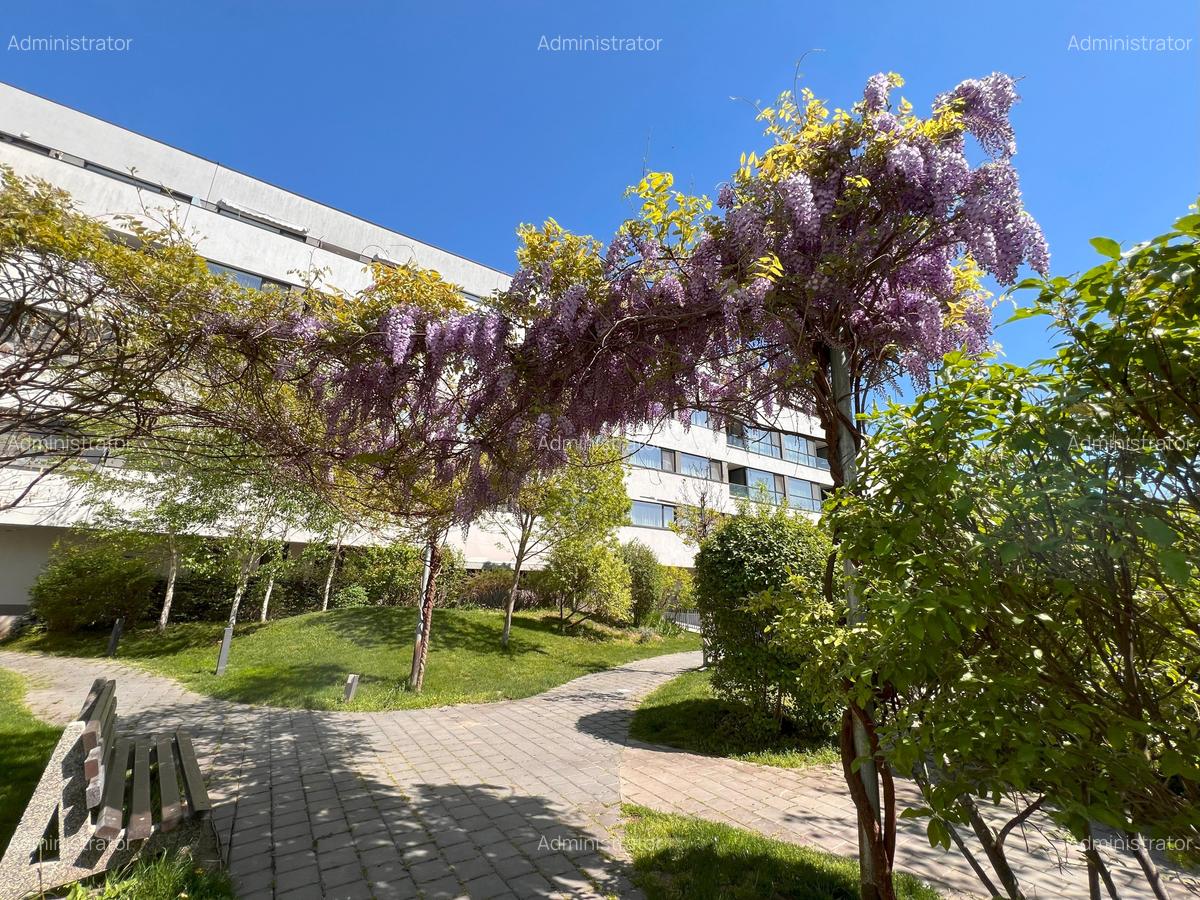 Apartament cu 4 camere decomandat în Chitila - 14