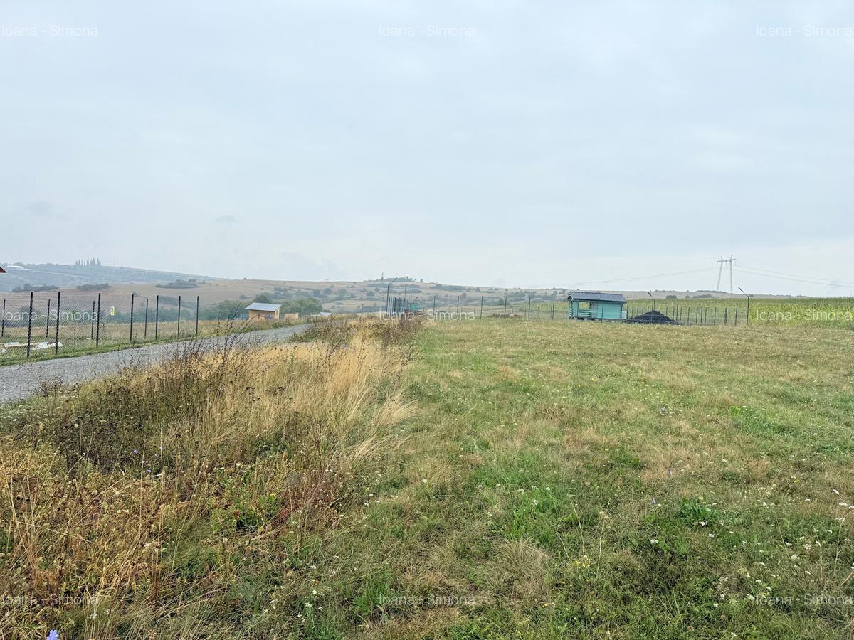 Parcele teren pentru cabane Sibiu -Dealul Daii -Casolt,  direct de la proprietar - 18