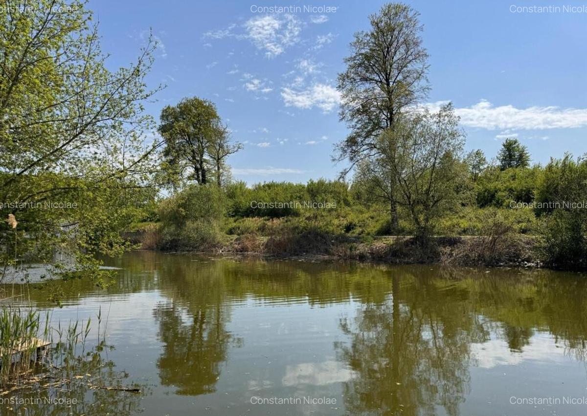 Teren 10000 mp Deschidere Lac Silistea Snagovului De Vanzare - 4