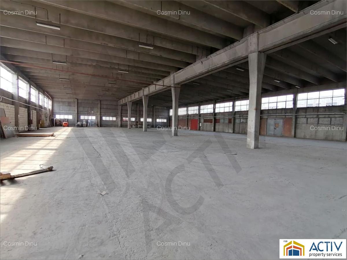 Spațiu industrial, 4250 mp în Theodor Pallady - 3