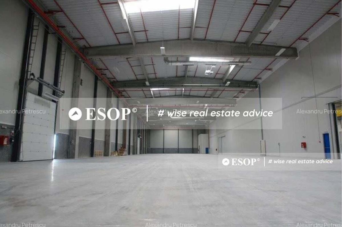 WDP Industrial Park Oarja, spatii industriale, 3.000 - 13.525 mp - 1