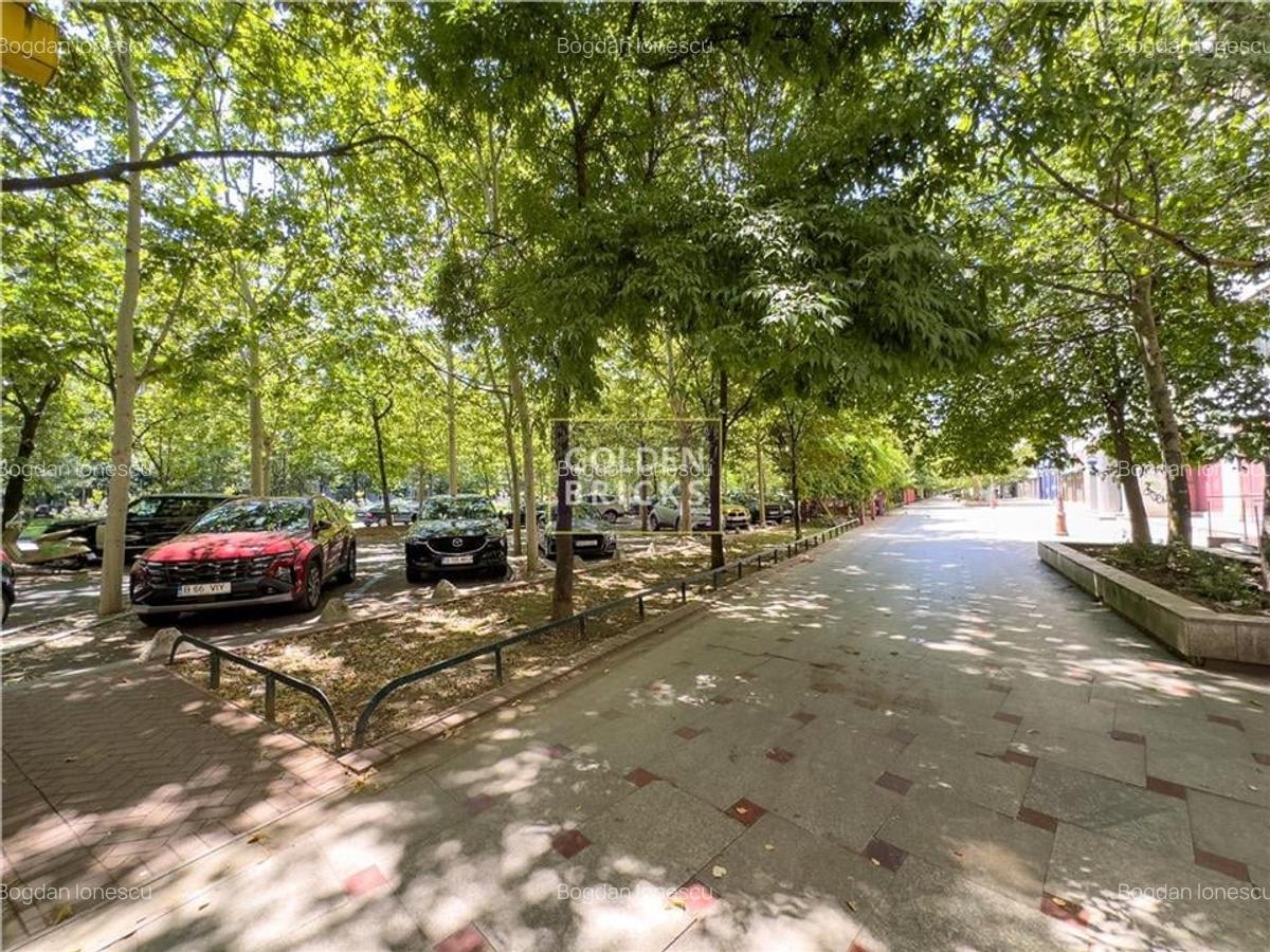 Pta Alba Iulia | Unirii | Prima inchiriere | Parcare disponibila - 29