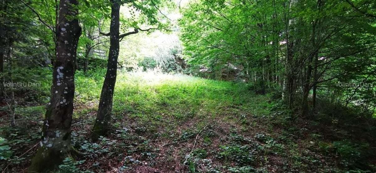 Teren Valiug 900-2400 mp acces auto utilita?i negociabil - 4