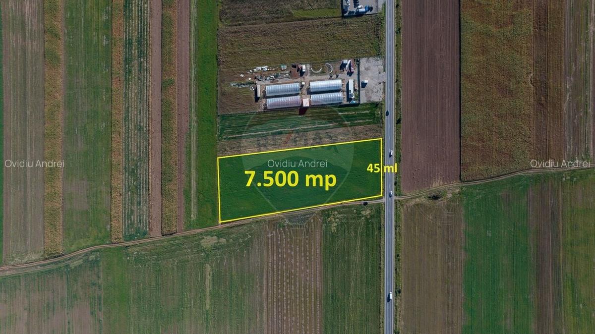 Teren 7,500mp Tarlungeni / Strada Zizinului - 7