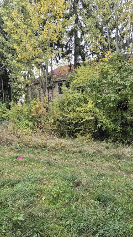 Gasoniera 11000 euro in orasul Victoria jud. Brasov - 5 Gasoniera 11000 euro in orasul Victoria jud. Brasov - 5