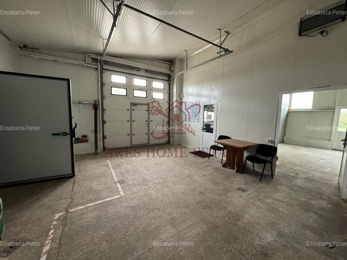 Spațiu industrial, 1200 mp în Bucovăț (Remetea Mare) - 7