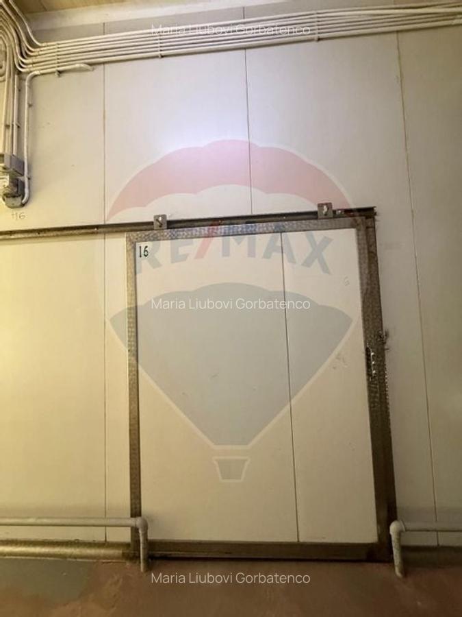 Spatiu industrial de inchiriat Pantelimon | Congelator | Refrigerat - 8