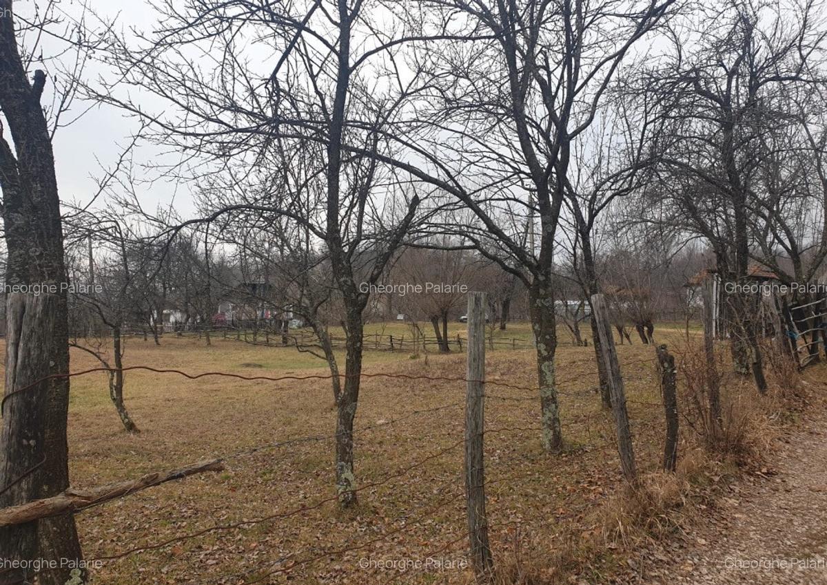 Vand teren 2911mp intravilan, sat Brebu, jud. Dambovita - 5