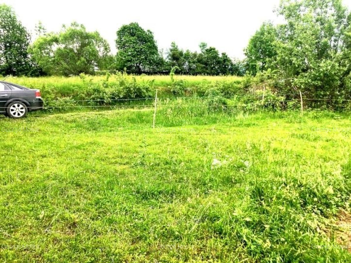 Teren Construcții intravilan de 20000 mp, în Exterior Est - 3