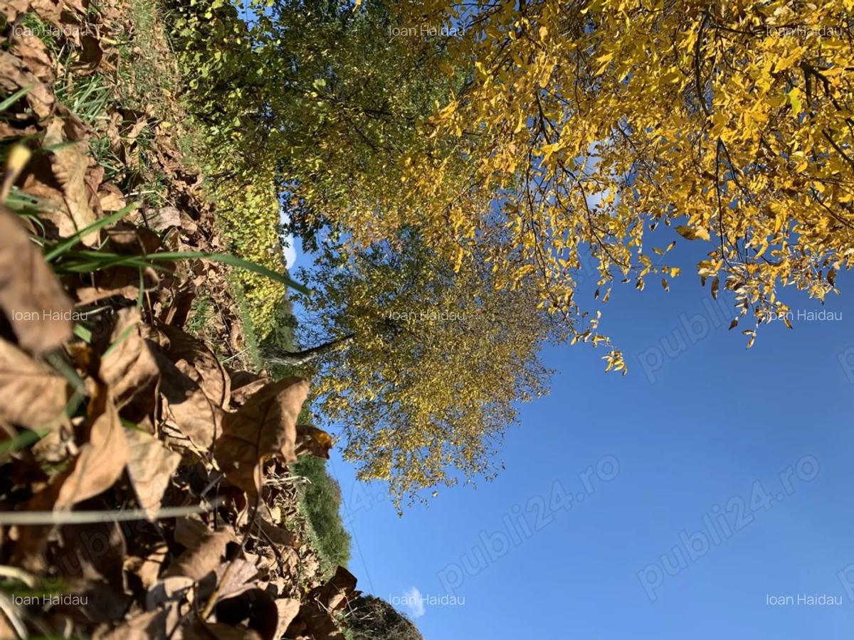 Casa si teren Silivasu de Campie - 4