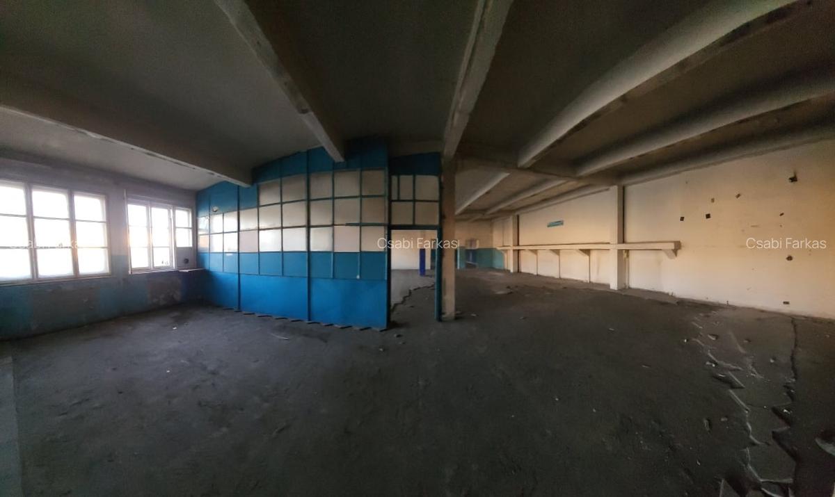 Spatiu Industrial, 500mp, access rampa, Dambul Rotund - 5