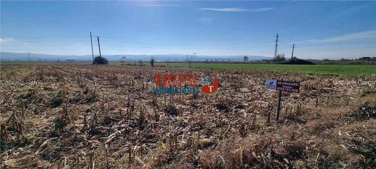 Teren intravilan 4000 mp pe soseaua de centura - 1