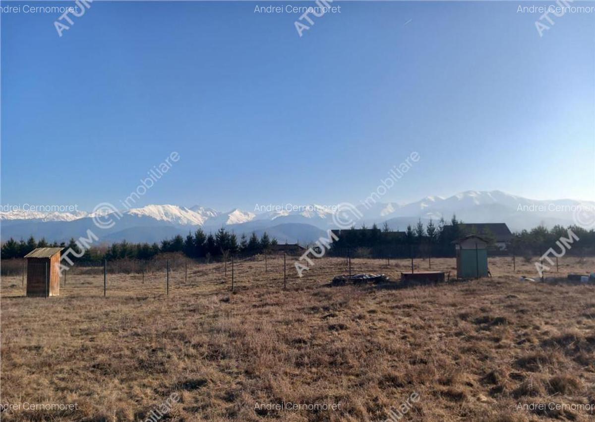 Teren intravilan 7900 mp de pe Valea Avrigului - 5