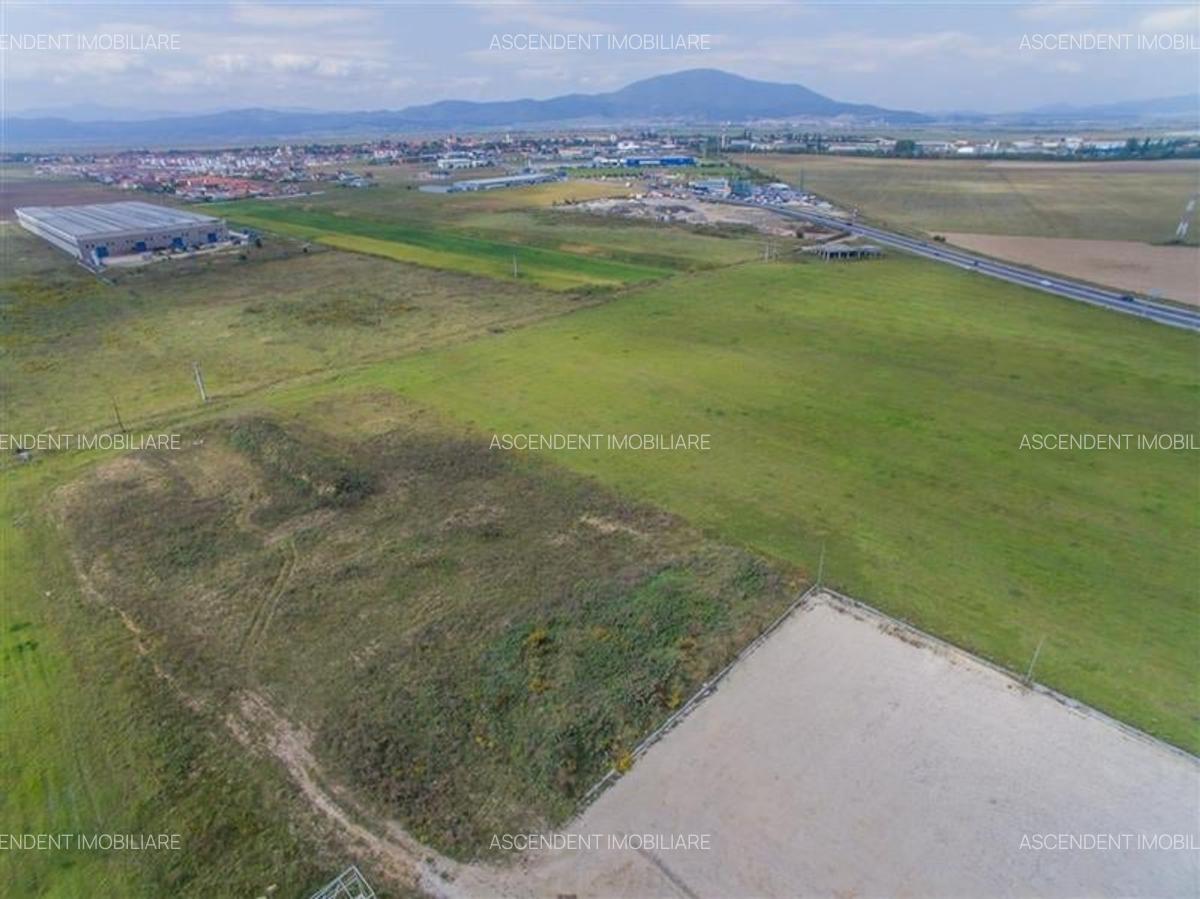 Teren Construcții extravilan de 50000 mp, în Central - 5