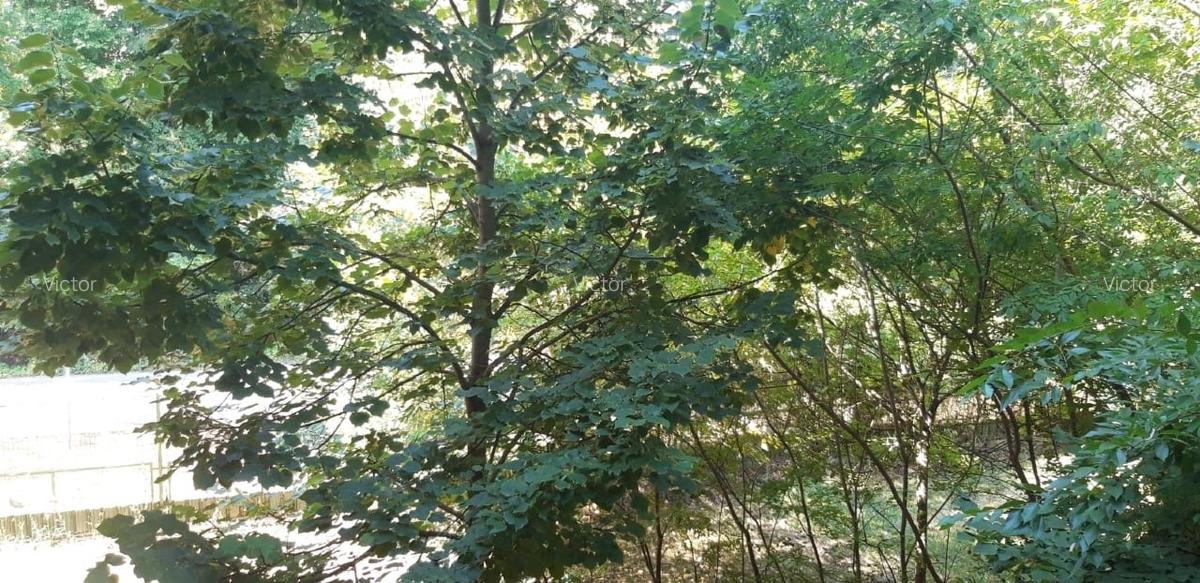 Proprietar Garsonieră spațioasă Băneasa  Liziera Pădurii |Etaj 1,parcare - 6 Proprietar Garsonieră spațioasă Băneasa  Liziera Pădurii |Etaj 1,parcare - 6