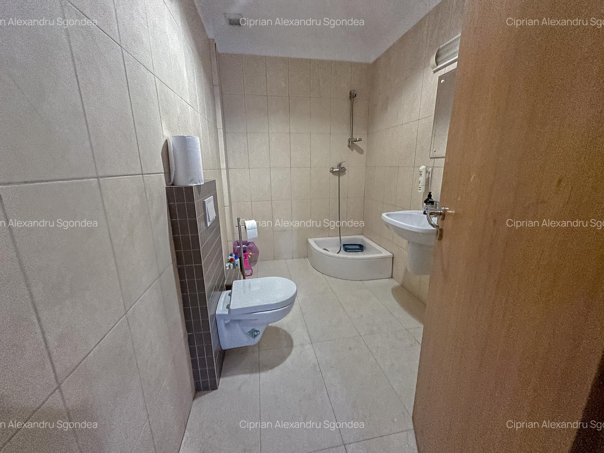 Birou, 348 mp în Florilor - 5