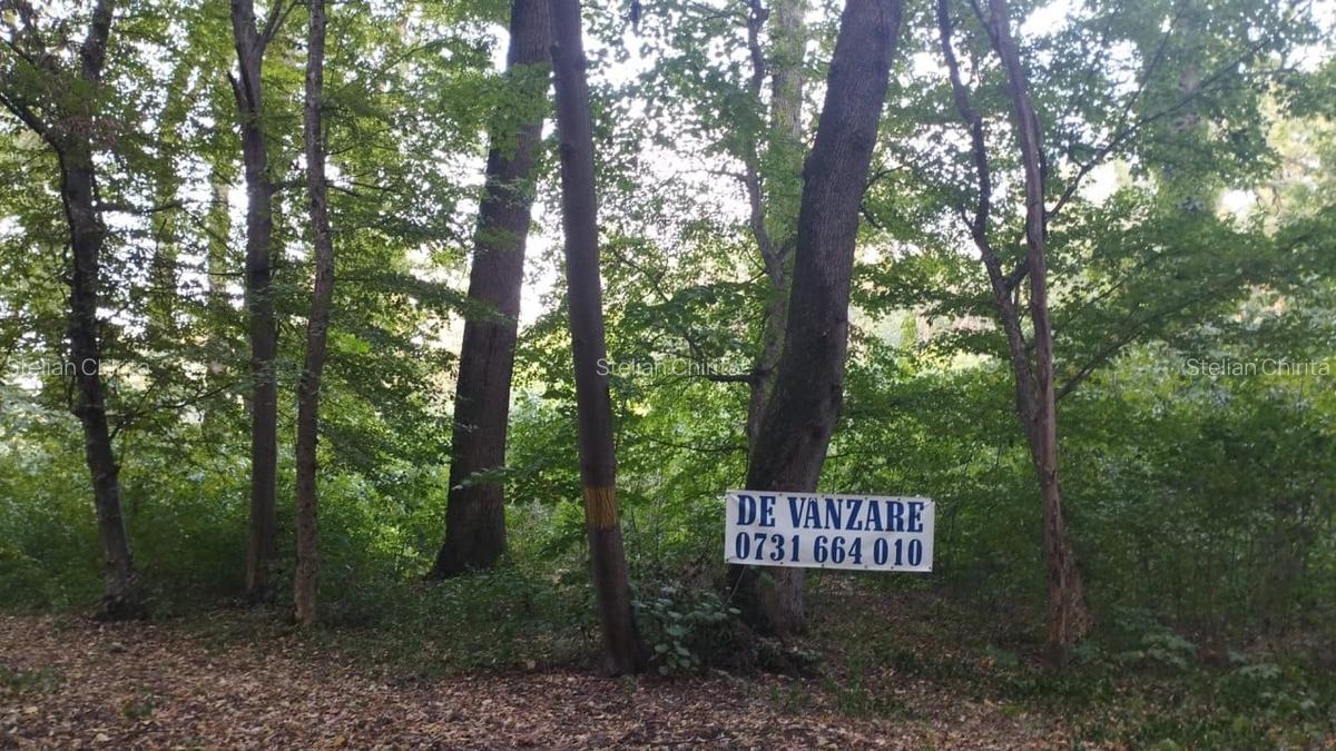 SUPER  OCAZIE TEREN 4000MP DE VANZARE IN SNAGOV CU DESCHIDERE LA LACUL SNAGOV - 1