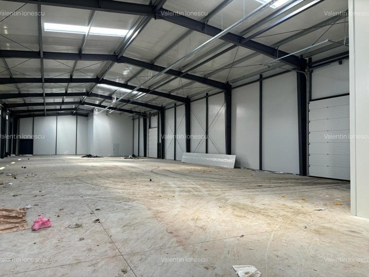 Hale de inchiriat Business Park Recon Mogosoaia 2 - 6