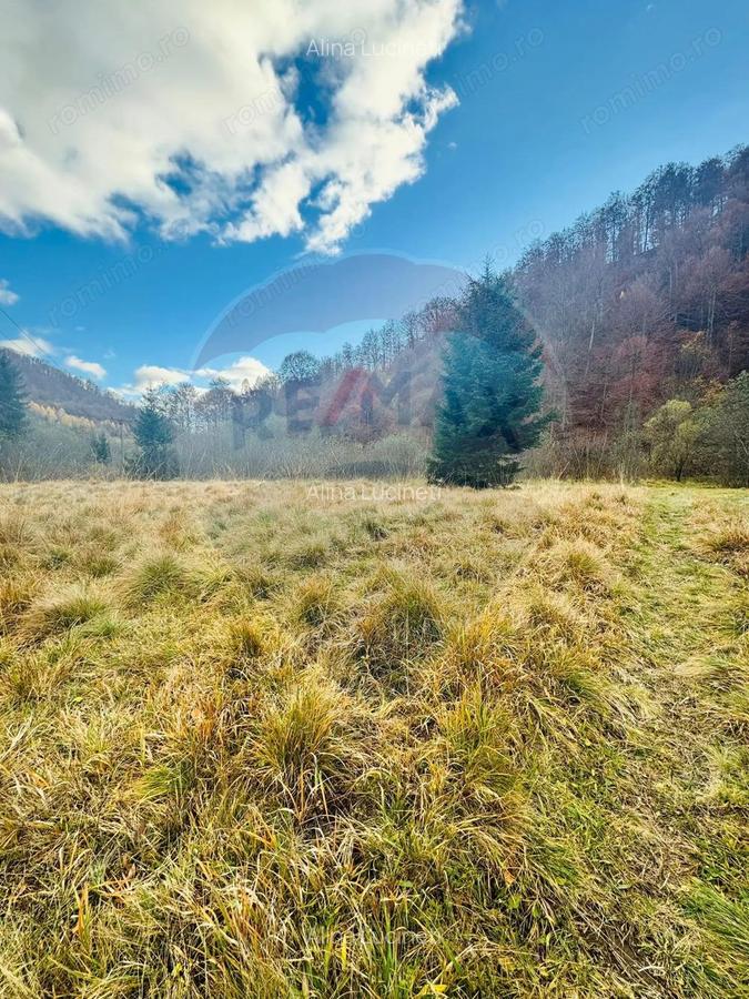 Teren 4,877mp Mara / Strada Principala - 4