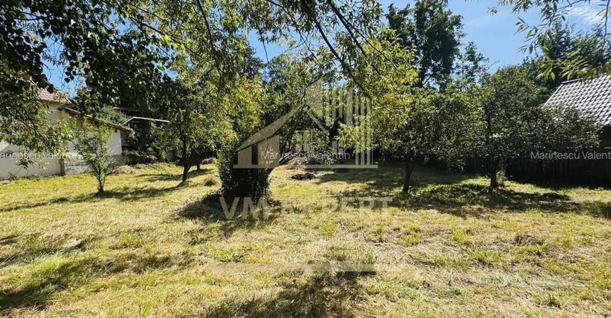 TEREN INTRAVILAN 3234 MP LERE?TI VOINE?TI ARGE? - 12