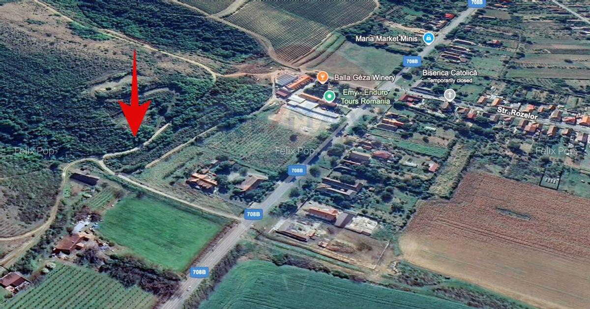 De vanzare teren 13,412mp Pauli? - 4