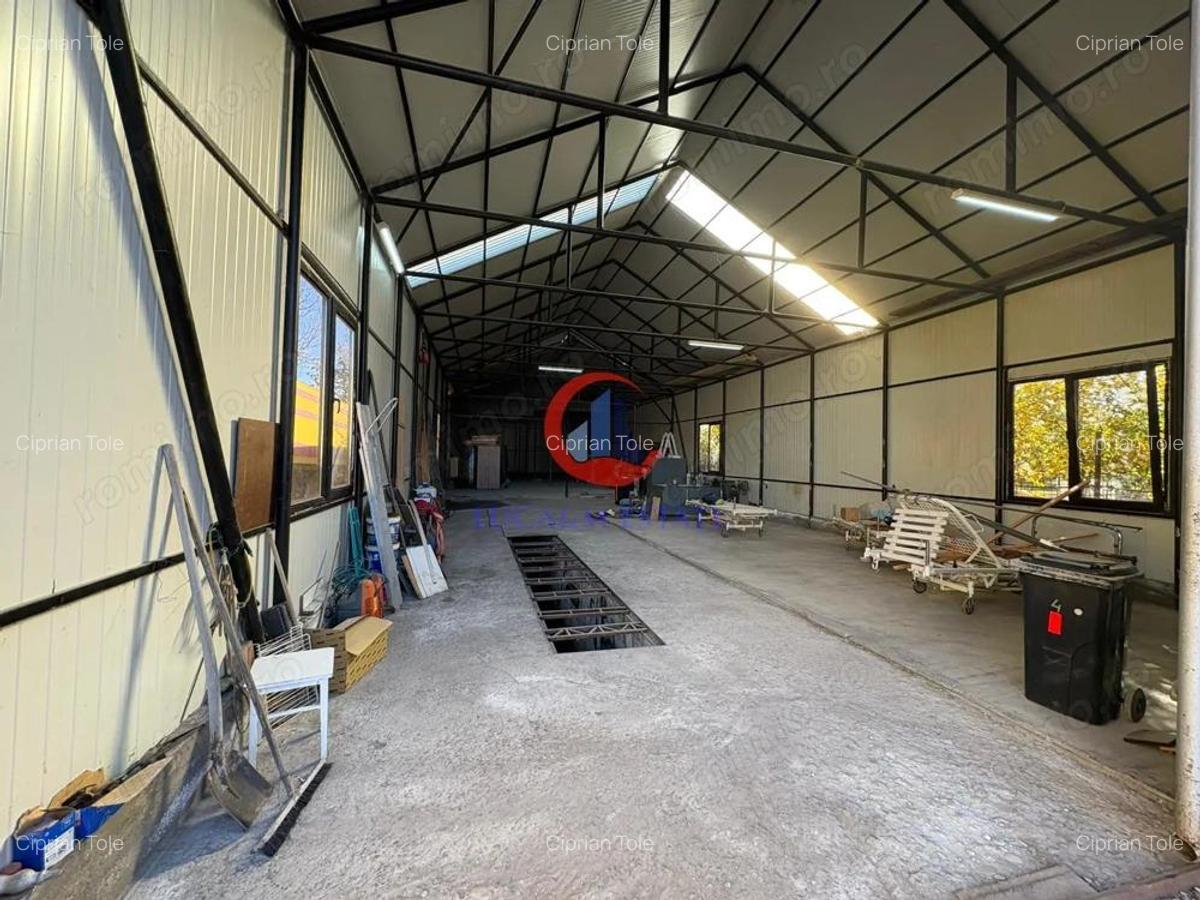 De inchiriat hala zona Mehala - 3