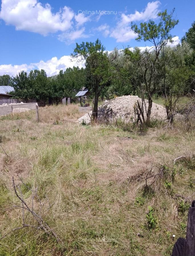 Teren intravilan 1570 mp in sat Magura (Hulubesti), Dambovita, deschidere 31ml - 2