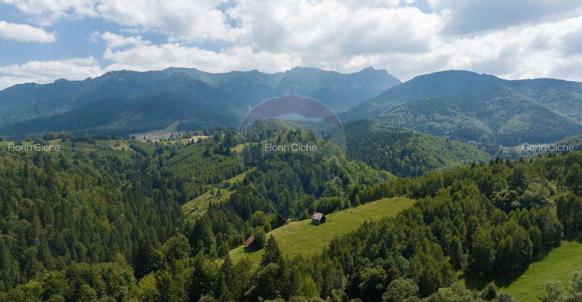 Teren Panoramic in Bran Vedere spre Bucegi & Piatra C... - 10