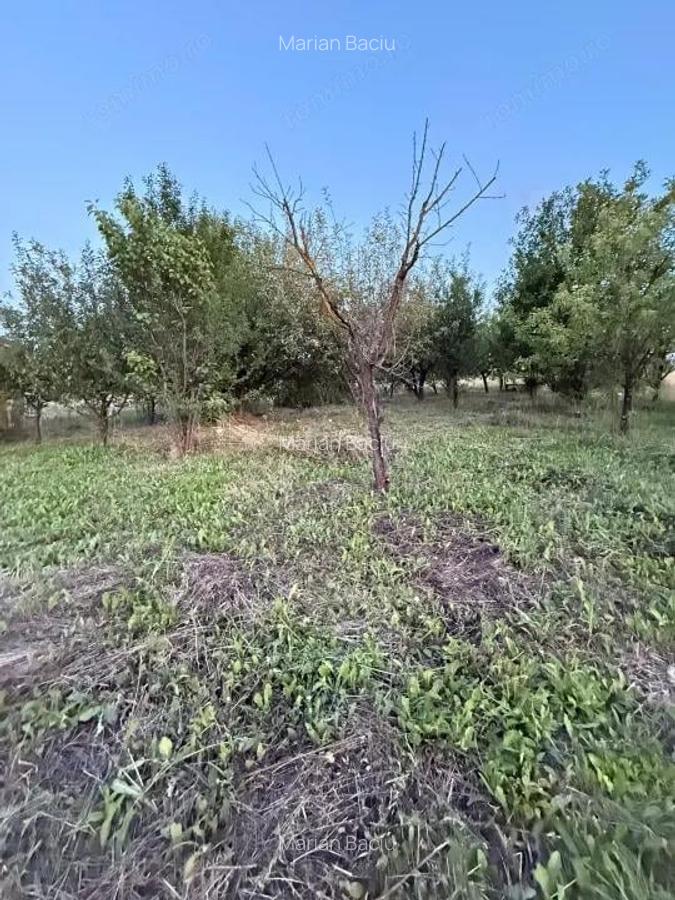 Teren intravilan Aghiresu Fabrici Jud Cluj 25 km Cluj Napoca - 8