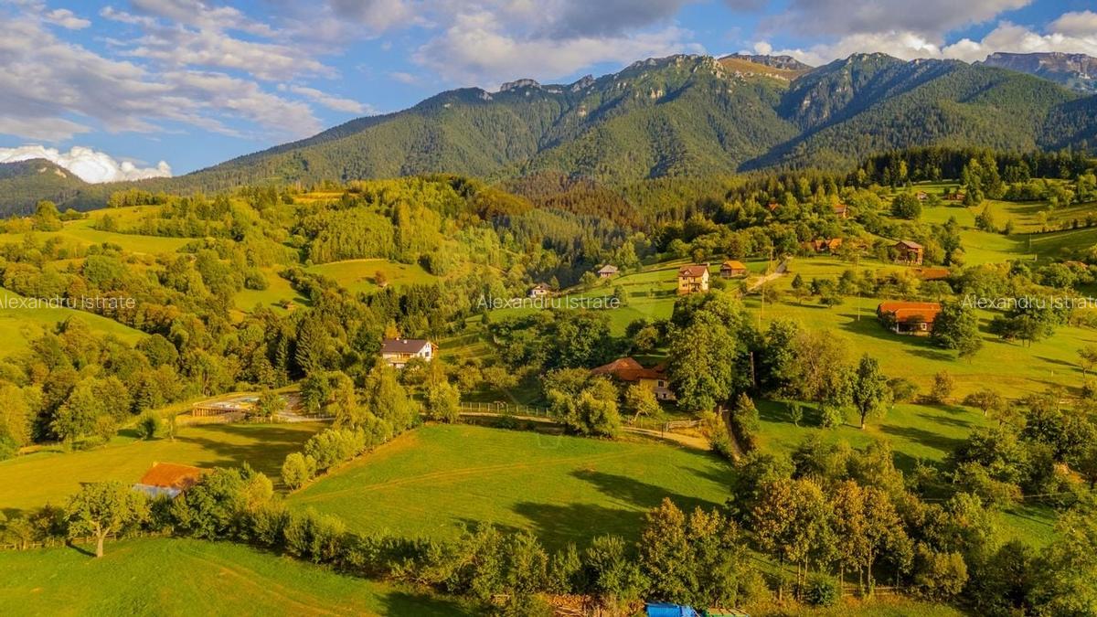 Teren intravilan cu PRIVELISTE UNICA |BRAN, BV| 3,000mp | COMISION 0 | - 13