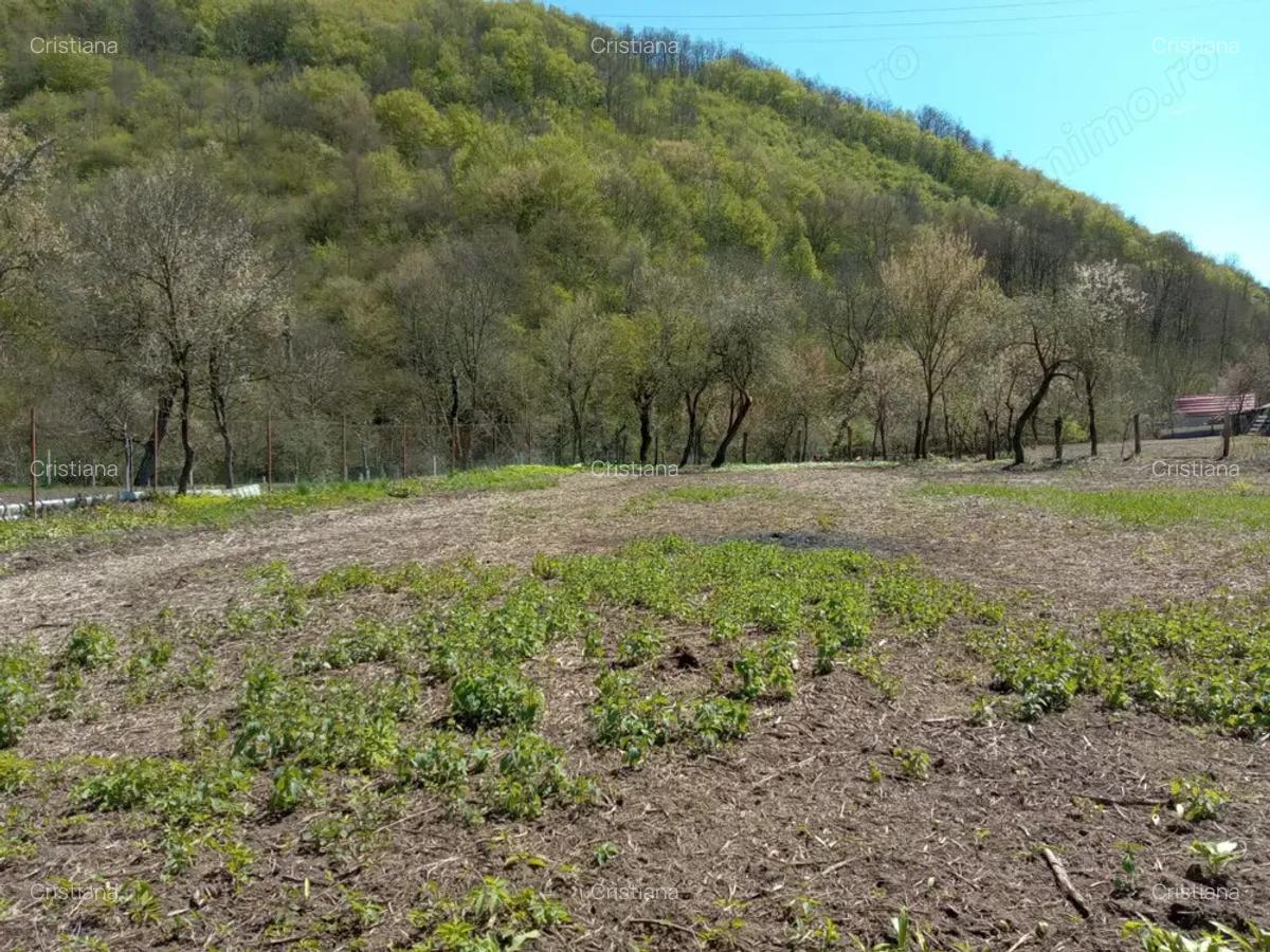 Casa mare la ?ara cu teren generos in zona superba - 2 Casa mare la ?ara cu teren generos in zona superba - 2