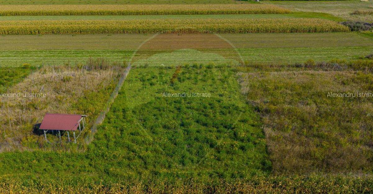 Teren de vanzare 532mp Brasov, Strada Luncii | COMISION 0% - 2