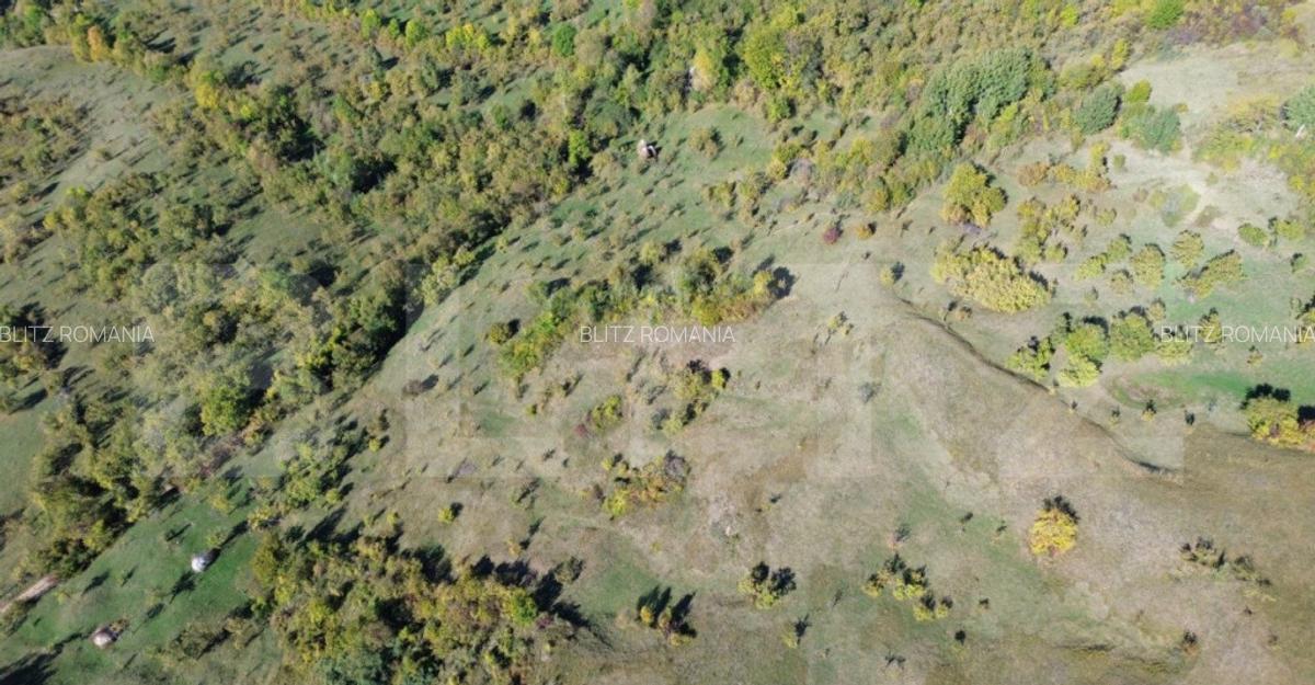 Teren extravilan, 41.631,00 mp, zona Pietrosita - 6