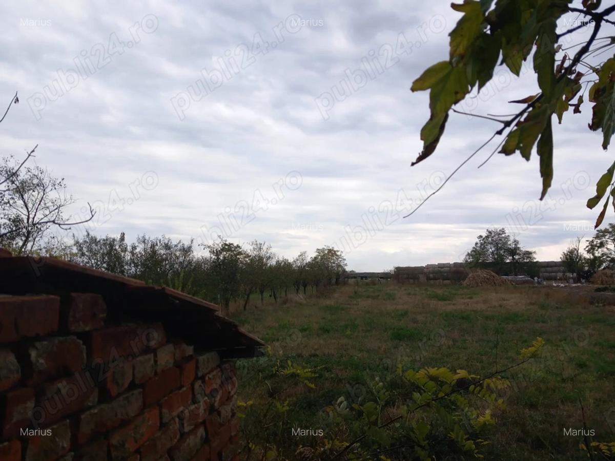 Vand casa sat Ivanda comuna Giulvaz Proprietar - 6 Vand casa sat Ivanda comuna Giulvaz Proprietar - 6