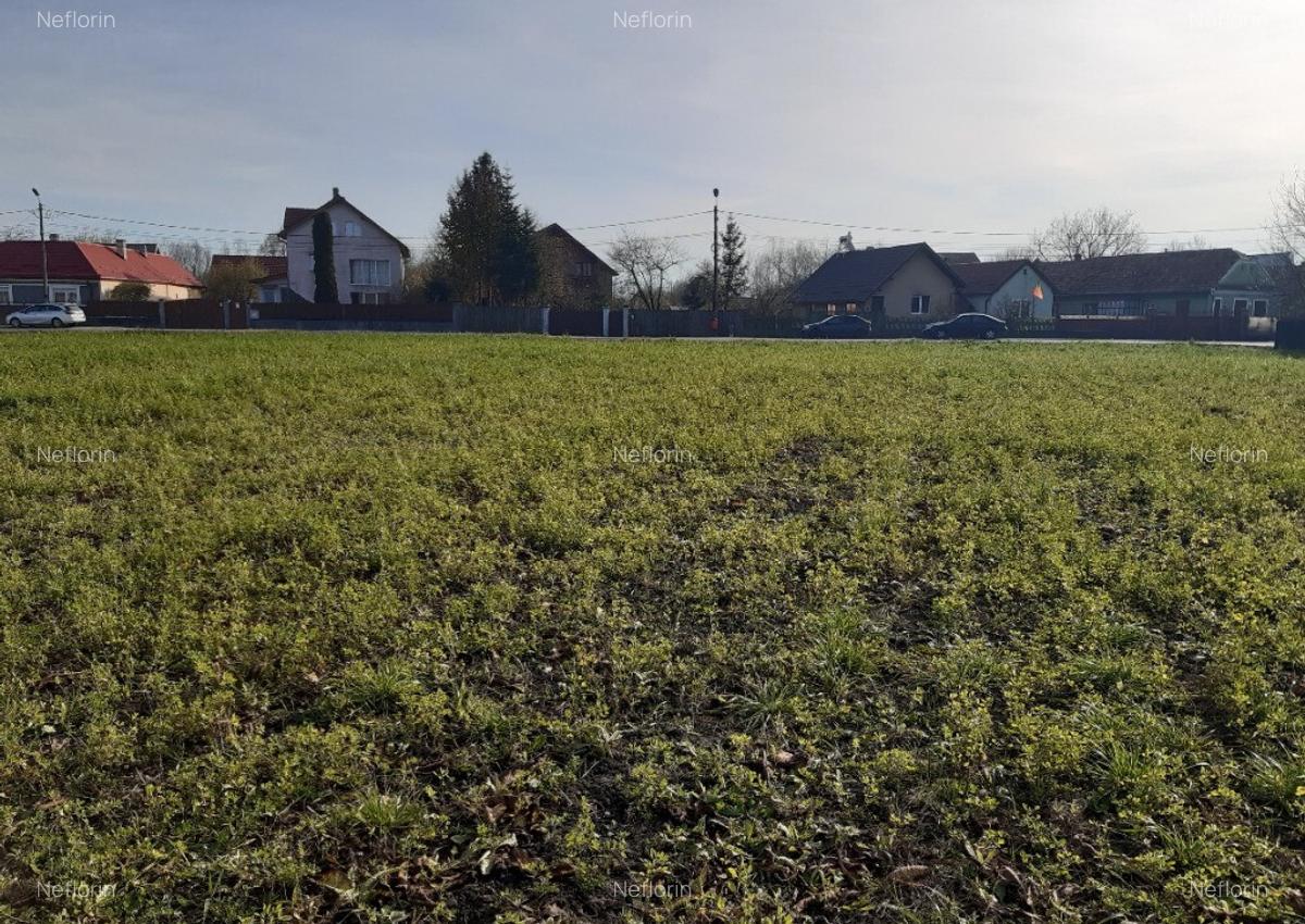 Vanzare teren intravilan construibil Lunca Calnicului - 2