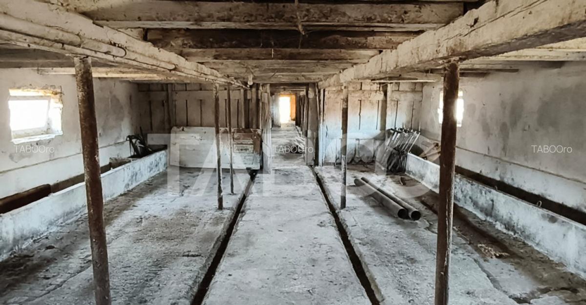 Microferma cu locuinta de vanzare in Pianu de sus - 6