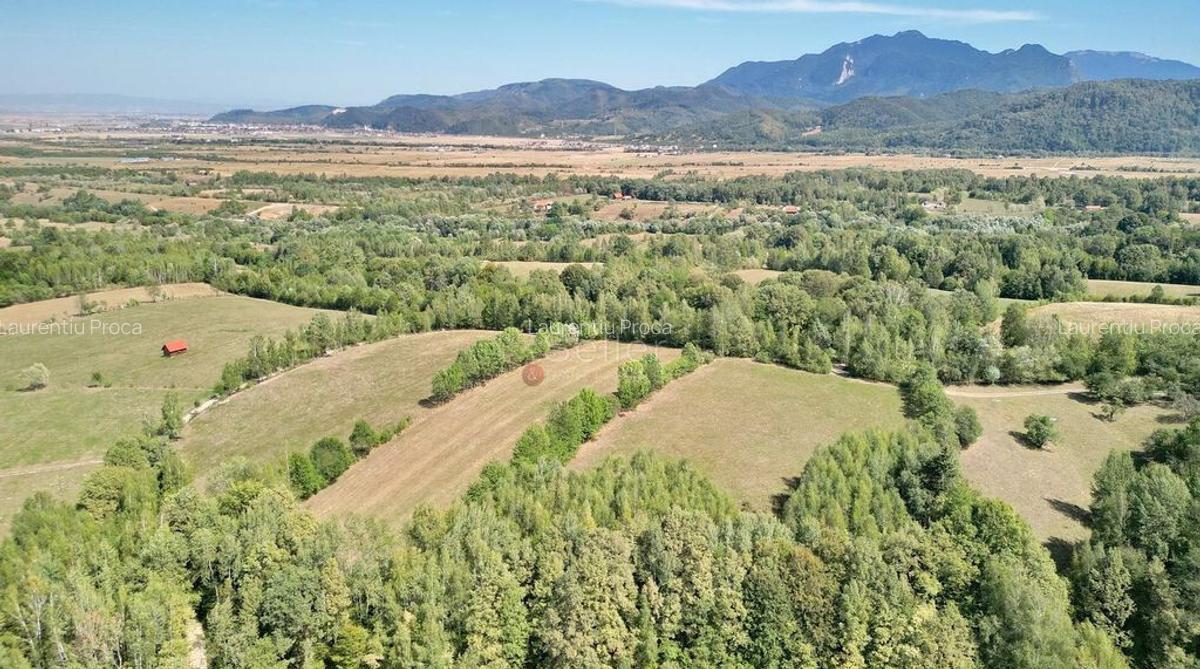 Teren intravilan, priveliste deosebita - 16