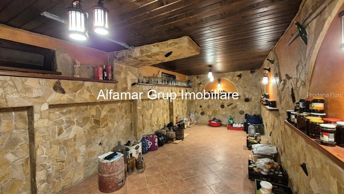 Vila individuala 370mp Rahova, ideal after school, gradinita, birouri - 19