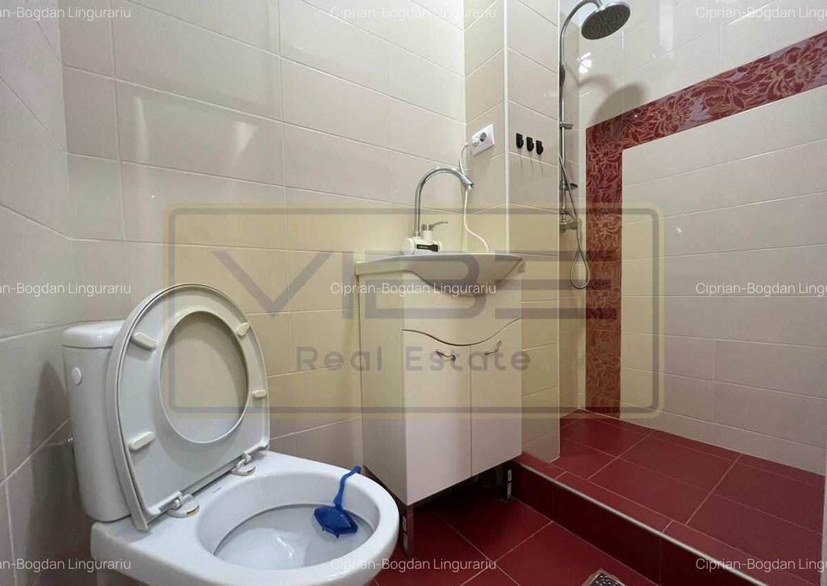 Spatiu de birou/comercial Bd. Independentei - Spiridon - 7