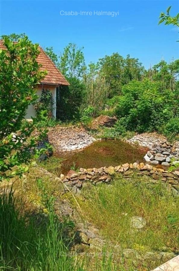 Casa cu 2 etaje si hala mare in Ineu de Cris - 26