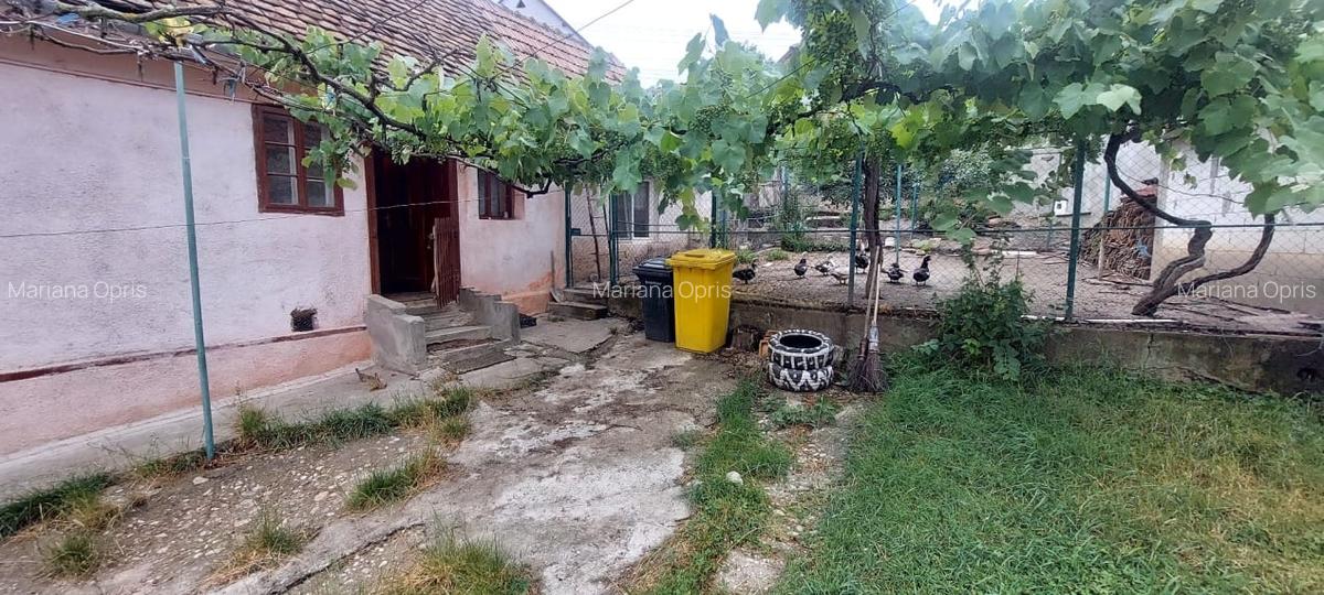 Casa 3 camere,suprafata utila85mp, teren300,spre vanzare in Ocna SB - 12