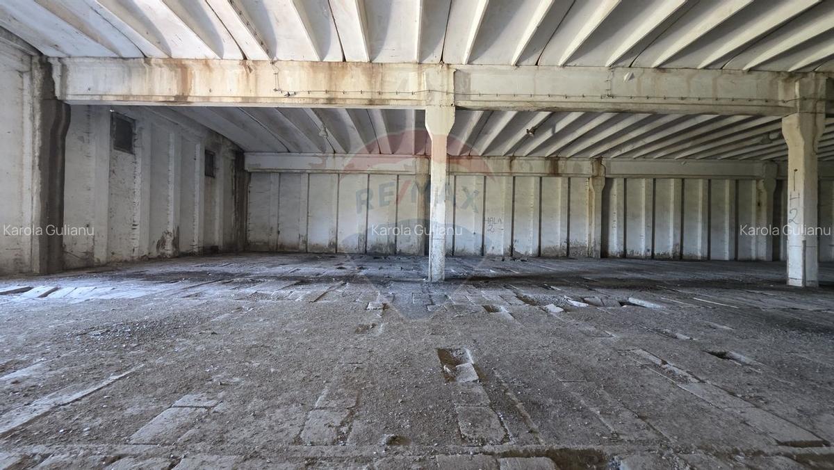 Vanzare hala industriala Colonia Bod, judetul Brasov - 8