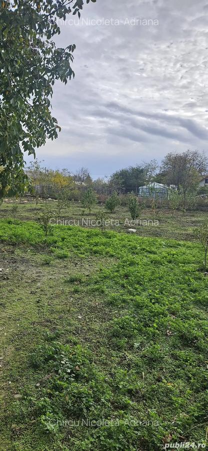 Casa de vanzare locul ideal pentru lini?te, natura ?i confort! - 8