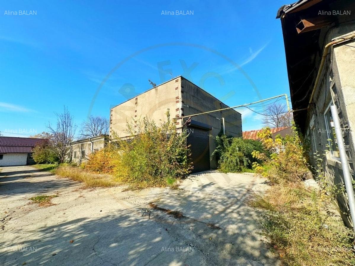 Oportunitate investitie Teren + constructii zona Vama Pitesti - 6