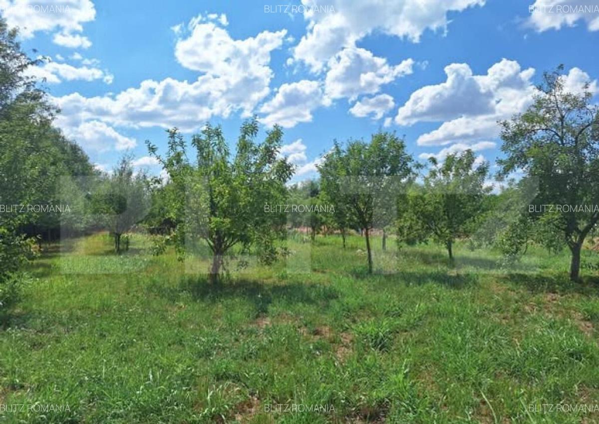 Casa cu teren intravilan, 4600 mp, investiitii/dezvoltare! - 5