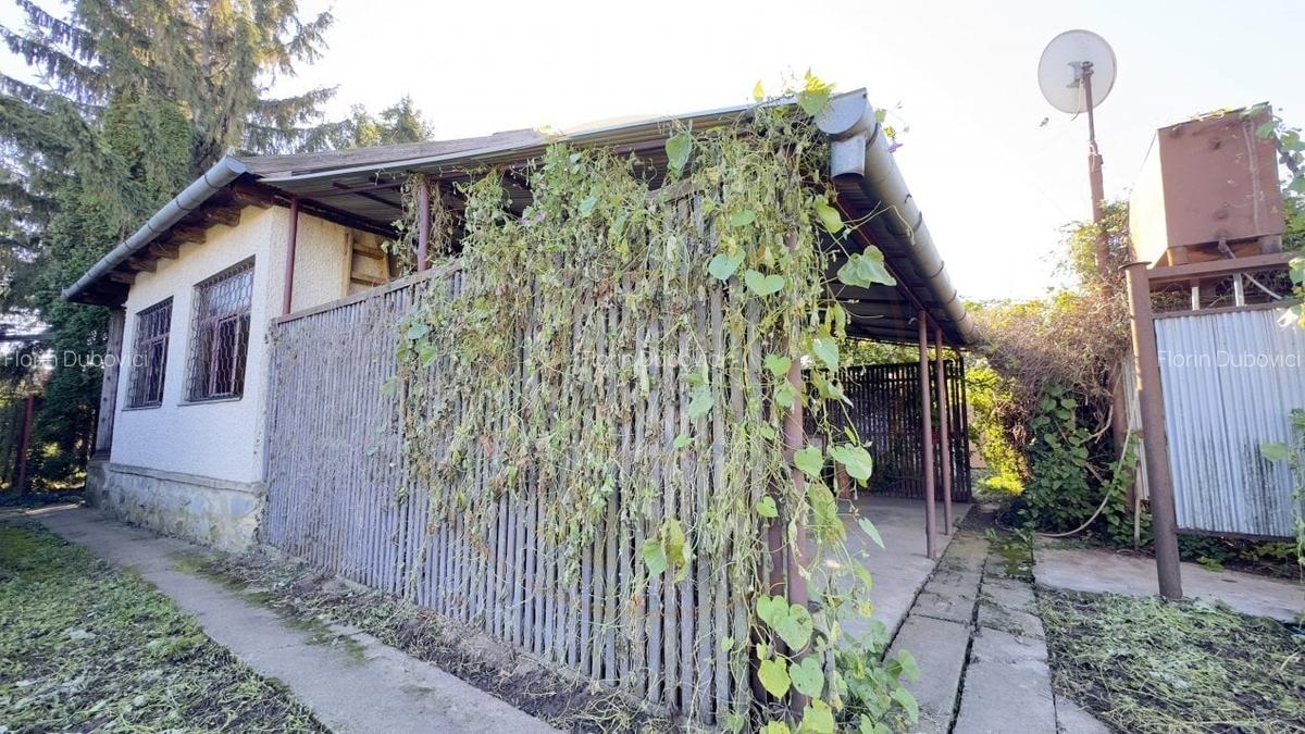 Casa de vinificatie 2 camere cu Teren 1389 mp - Gradina Viilor ,,Nyulhat,,-Carei - 6 Casa de vinificatie 2 camere cu Teren 1389 mp - Gradina Viilor ,,Nyulhat,,-Carei - 6