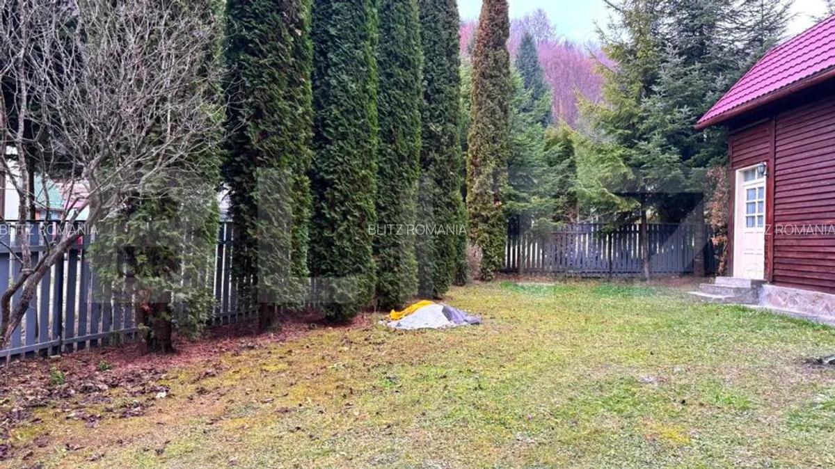 VAND CASA DE VACANTA LA COLIBITA, CU VEDERE SPRE LAC - 6