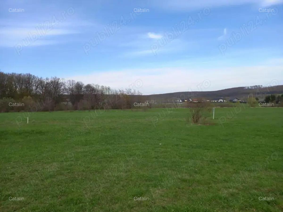 Vand teren Dragomirna 3000 mp langa padure - 1