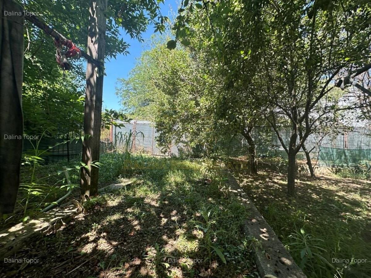Vanzare - Vila - 7 camere - Curte 511 mp - Parcul Mogosoaia - 13